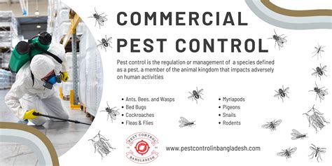 Commercial Pest Control – Reliable Pest Control .